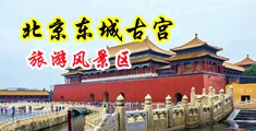 几个男人用肉棒棒插进女人的小穴洞洞里面女人受不了叫床黄色视频看看中国北京-东城古宫旅游风景区